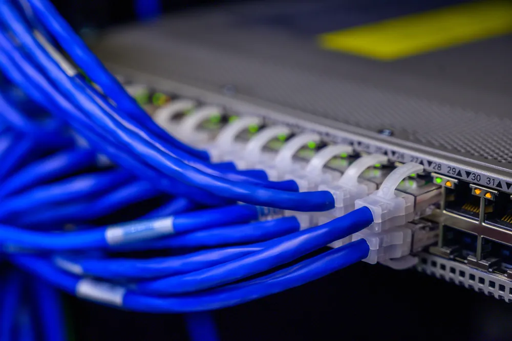 Blue network cables plugged into a switch